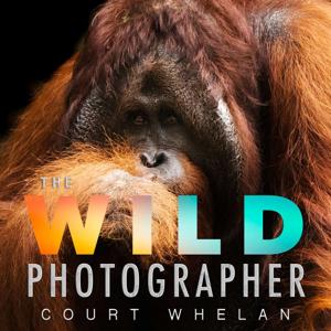 The Wild Photographer by Court Whelan
