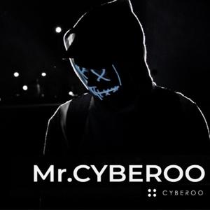 Mr. CYBEROO | Cyber Security