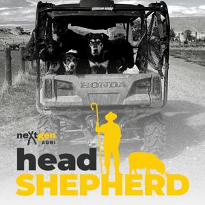 Head Shepherd by Mark Ferguson