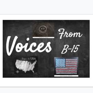 Voices from B-15