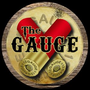 The Gauge by The Gauge