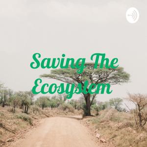 Saving The Ecosystem