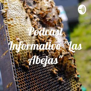 Podcast Informativo "Las Abejas"