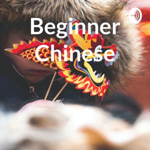 Beginner Chinese by Holly li