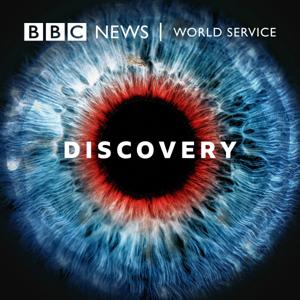 Discovery by BBC World Service