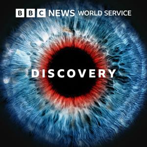 Discovery by BBC World Service