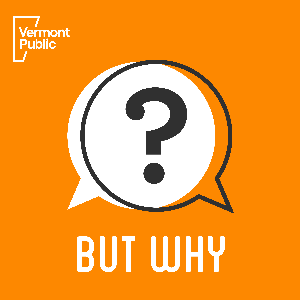 But Why: A Podcast for Curious Kids by Vermont Public