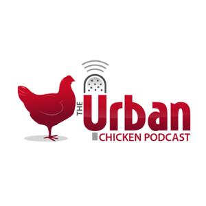 The Urban Chicken Podcast  - The Urbanite's Podcast Resource for Keeping Backyard Chickens by Jen Pitino: Urban Chicken-keeper & Backyard Chicken Enthusiast