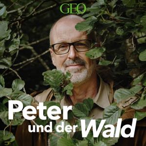 Peter und der Wald – ein GEO-Podcast by RTL+ / Peter Wohlleben / GEO