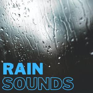 Rain Sounds by Sol Good Media