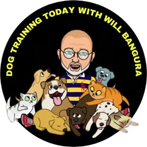 Dog Training Today with Will Bangura for Pet Parents, Kids & Family, Pets and Animals, and Dog Training Professionals. This is a Education & How To Dog Training Podcast. by Will Bangura, M.S., CAB-ICB, CBCC-KA, CPDT-KA, FFCP is a World Renowned Dog Behaviorist, Certified Dog Behavior Consultant, Certified Professional Dog Trainer, and a Fear Free Certified Professional with over 36 years of experience with the most difficult