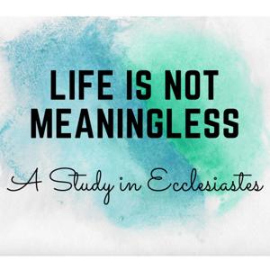 Life is not meaningless - A study in Ecclesiastes