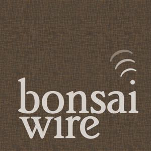 Bonsai Wire by Bonsai Wire