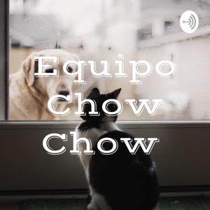 Equipo Chow Chow