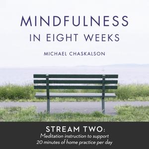 Mindfulness in 8 Weeks: 20 Minutes a Day Program by Michael Chaskalson