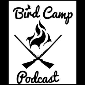 Bird Camp by bird camp