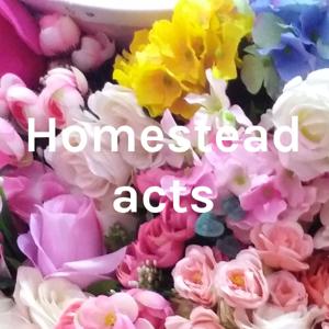 Homestead acts