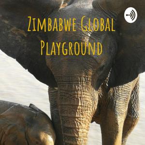 Zimbabwe Global Playground of FUTURE NOW - #missionpossible8