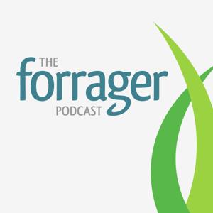 The Forrager Podcast for Cottage Food Businesses by David Crabill
