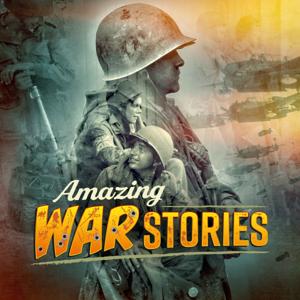 Amazing War Stories by Bruce Crompton