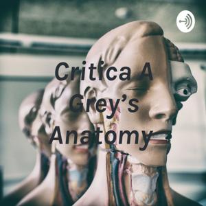 Critica A Grey’s Anatomy by Eli Rojas