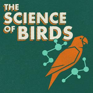 The Science of Birds by Ivan Phillipsen