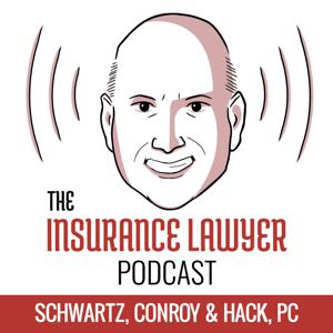 The Insurance Lawyer