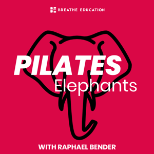 Pilates Elephants by Raphael Bender