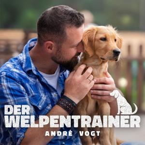 Der Welpentrainer - Der Podcast mit André Vogt by André Vogt