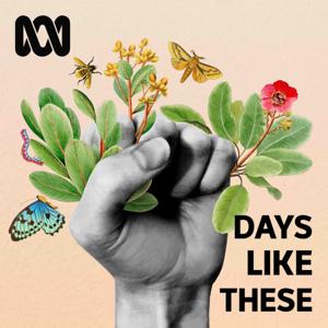 Days Like These — True Stories by ABC listen