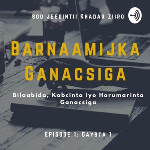 Barnaamijka Ganacsiga "By Ziiro"
