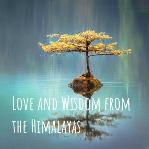 大師智慧 Love and Wisdom from the Himalayas