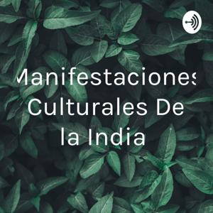 Manifestaciones Culturales De la India