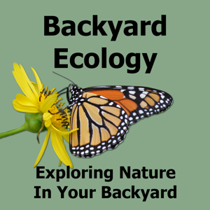 Backyard Ecology by Shannon Trimboli