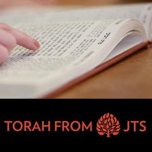 JTS Torah Commentary by JTS