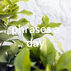 phrases a day