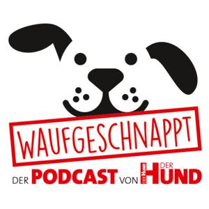 Waufgeschnappt - der Podcast von DER HUND by Redaktion Magazin DER HUND mit Veronika Rothe, Lena Schwarz und Susanne Steiger