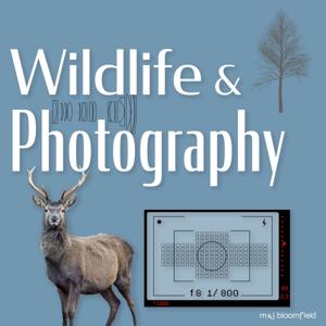 Wildlife and Photography by M & J Bloomfield