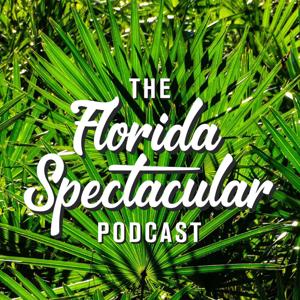 Florida Spectacular by Cathy Salustri