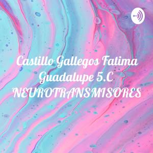 Castillo Gallegos Fatima Guadalupe 5.C (NEUROTRANSMISORES)