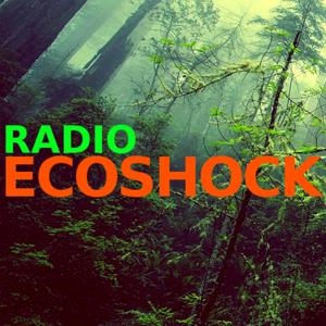 The RADIO ECOSHOCK Show by Alex Smith