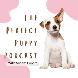 The Perfect Puppy Podcast by Miriam Pollard
