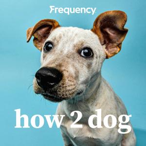 How 2 Dog by Shaftesbury / Frequency Podcast Network