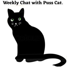 Weekly Chat With Puss Cat.