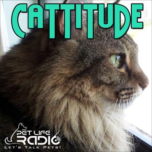 Cattitude -  The #1 Cat Podcast About Cats As Pets-  Pet Life Radio Original (PetLifeRadio.com) by Michelle Fern