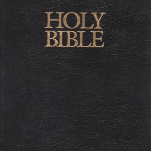 In-the-bible.com Podcast
