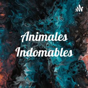 Animales Indomables