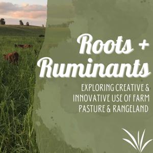 Roots + Ruminants by Millborn Seeds