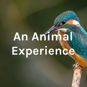 An Animal Experience