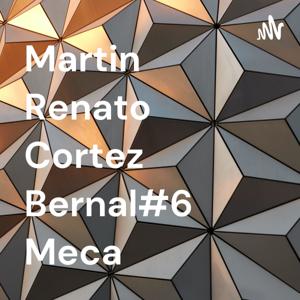 Martin Renato Cortez Bernal#6 Meca